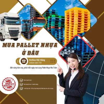 Mua pallet nhựa ở đâu - Bảng giá pallet nhựa Mai Trâm